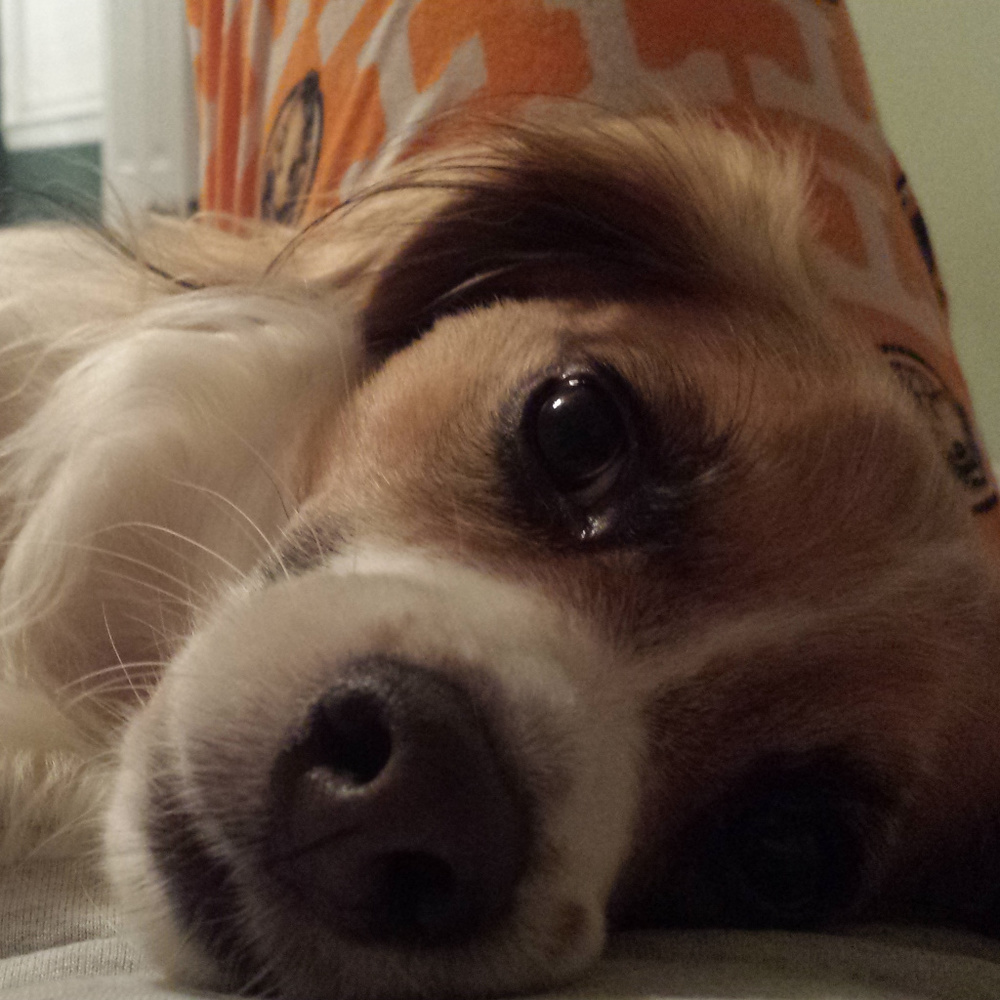 Hey! I'm Bennifer25!